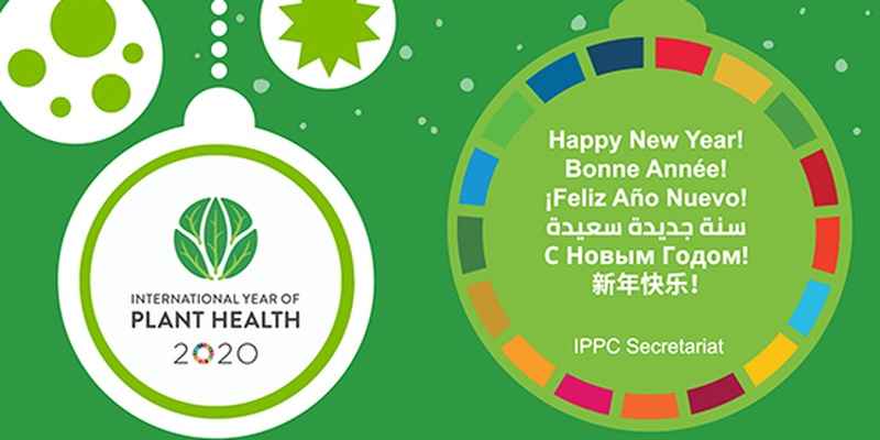 Greetings For The International Year Of Plant Health From The Ippc Secretariat 国际植物保护公约