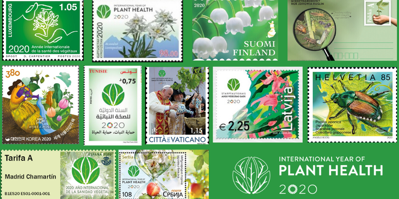 Ippc Contracting Parties Step Up In Issuing Postage Stamps To Promote The International Year Of Plant Health In 国际植物保护公约